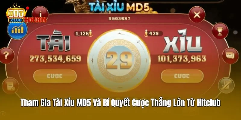 Tham Gia Tài Xỉu MD5 Và Bí Quyết Cược Thắng Lớn Từ Hitclub